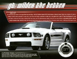 2007 Mustang GT/CS brochure